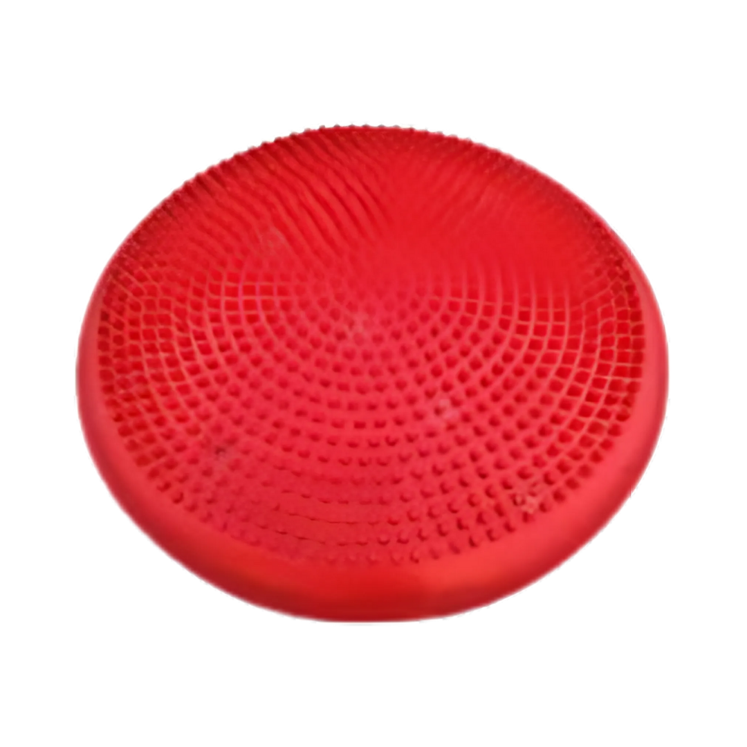DISCO DE EQUILIBRIO
